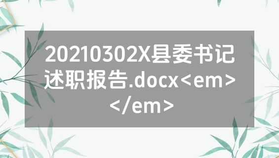 20210302X县委书记述职报告.docx<em></em>
