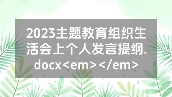 2023主题教育组织生活会上个人发言提纲.docx<em></em>