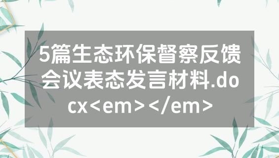 5篇生态环保督察反馈会议表态发言材料.docx<em></em>