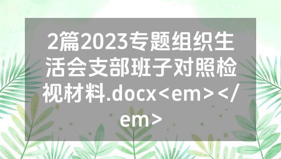 2篇2023专题组织生活会支部班子对照检视材料.docx<em></em>