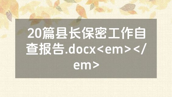 20篇县长保密工作自查报告.docx<em></em>