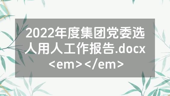 2022年度集团党委选人用人工作报告.docx<em></em>