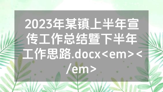 2023年某镇上半年宣传工作总结暨下半年工作思路.docx<em></em>