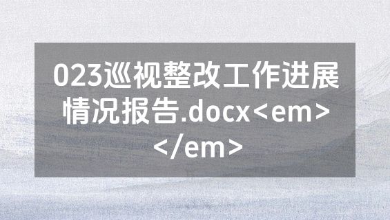 023巡视整改工作进展情况报告.docx<em></em>