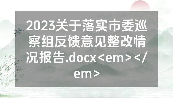 2023关于落实市委巡察组反馈意见整改情况报告.docx<em></em>