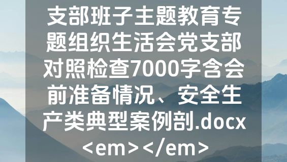 支部班子主题教育专题组织生活会党支部对照检查7000字含会前准备情况、安全生产类典型案例剖.docx<em></em>
