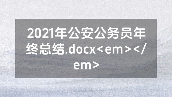 2021年公安公务员年终总结.docx<em></em>