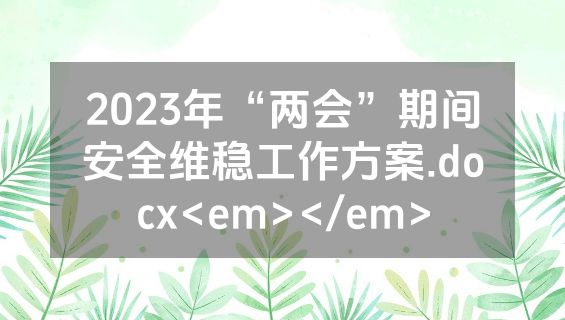 2023年“两会”期间安全维稳工作方案.docx<em></em>