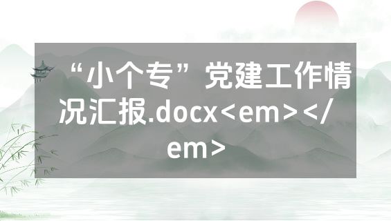 “小个专”党建工作情况汇报.docx<em></em>