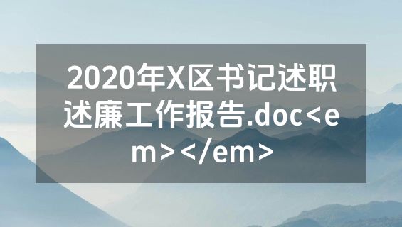 2020年X区书记述职述廉工作报告.doc<em></em>