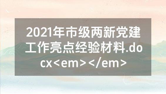 2021年市级两新党建工作亮点经验材料.docx<em></em>