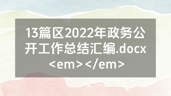 13篇区2022年政务公开工作总结汇编.docx<em></em>
