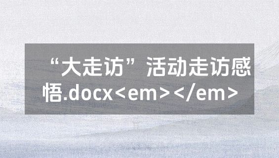 “大走访”活动走访感悟.docx<em></em>