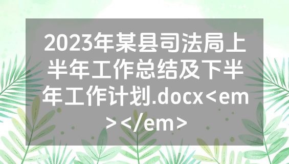 2023年某县司法局上半年工作总结及下半年工作计划.docx<em></em>