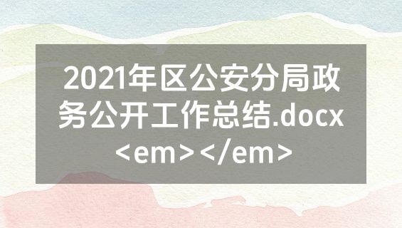 2021年区公安分局政务公开工作总结.docx<em></em>