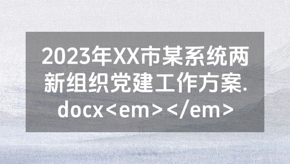 2023年XX市某系统两新组织党建工作方案.docx<em></em>