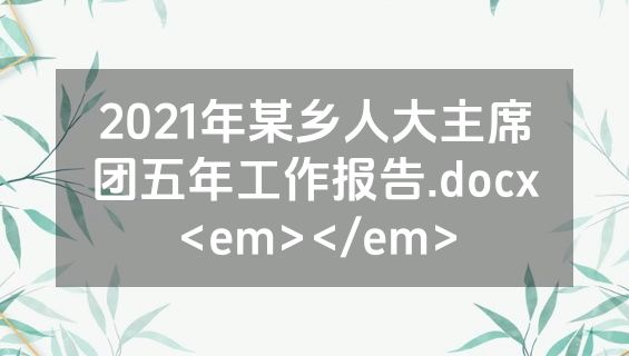 2021年某乡人大主席团五年工作报告.docx<em></em>