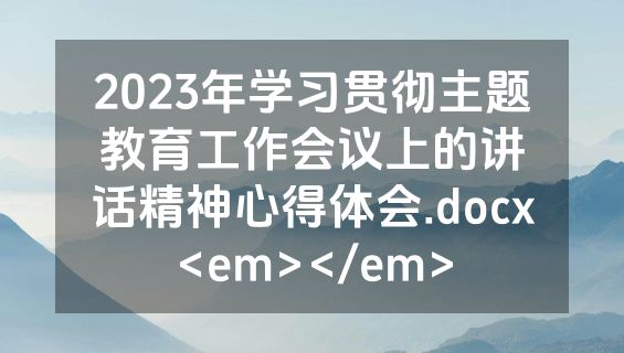 2023年学习贯彻主题教育工作会议上的讲话精神心得体会.docx<em></em>