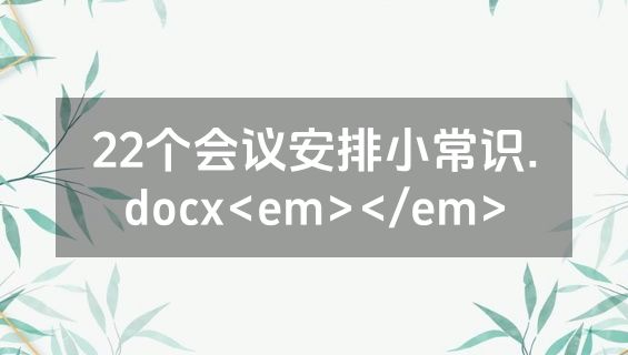22个会议安排小常识.docx<em></em>