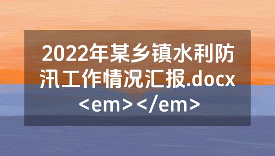 2022年某乡镇水利防汛工作情况汇报.docx<em></em>