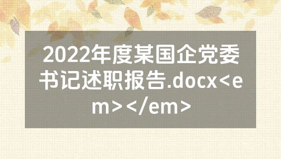 2022年度某国企党委书记述职报告.docx<em></em>