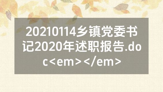 20210114乡镇党委书记2020年述职报告.doc<em></em>