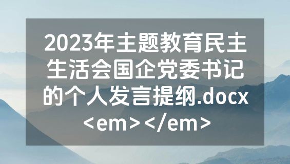 2023年主题教育民主生活会国企党委书记的个人发言提纲.docx<em></em>
