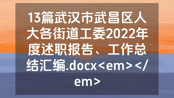 13篇武汉市武昌区人大各街道工委2022年度述职报告、工作总结汇编.docx<em></em>