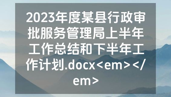 2023年度某县行政审批服务管理局上半年工作总结和下半年工作计划.docx<em></em>