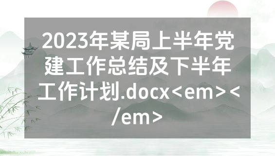 2023年某局上半年党建工作总结及下半年工作计划.docx<em></em>