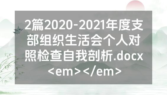 2篇2020-2021年度支部组织生活会个人对照检查自我剖析.docx<em></em>