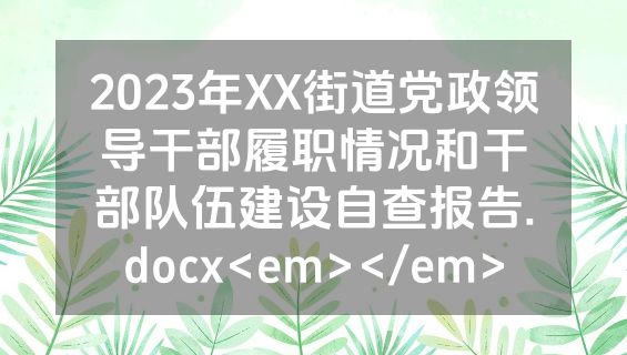 2023年XX街道党政领导干部履职情况和干部队伍建设自查报告.docx<em></em>
