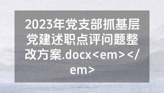2023年党支部抓基层党建述职点评问题整改方案.docx<em></em>