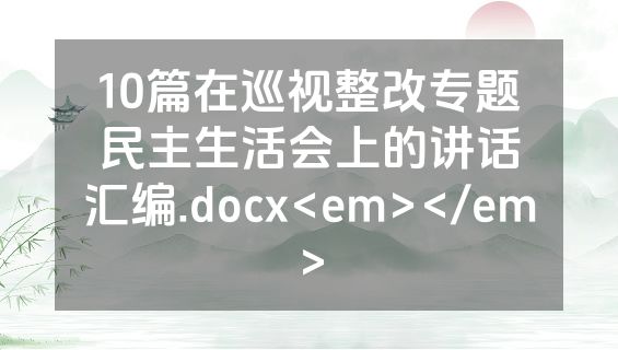 10篇在巡视整改专题民主生活会上的讲话汇编.docx<em></em>