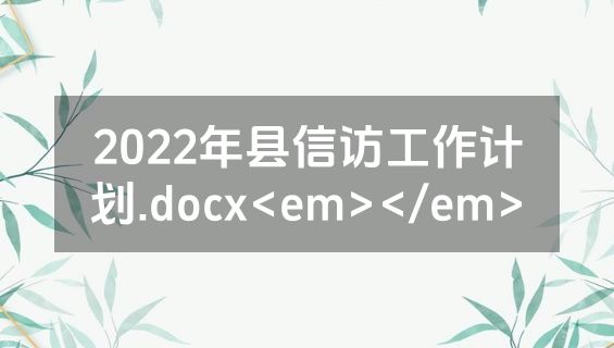 2022年县信访工作计划.docx<em></em>