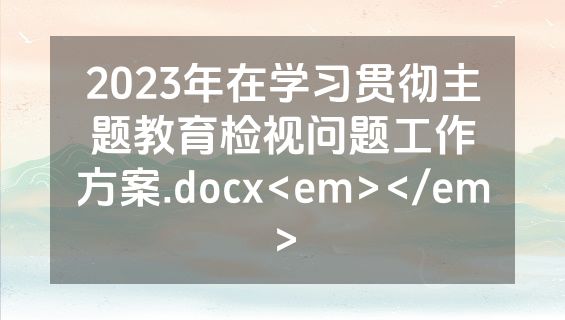 2023年在学习贯彻主题教育检视问题工作方案.docx<em></em>