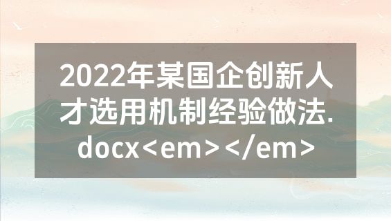 2022年某国企创新人才选用机制经验做法.docx<em></em>