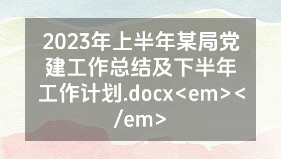 2023年上半年某局党建工作总结及下半年工作计划.docx<em></em>