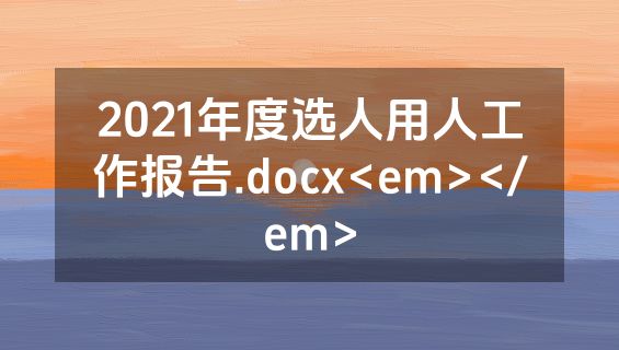 2021年度选人用人工作报告.docx<em></em>