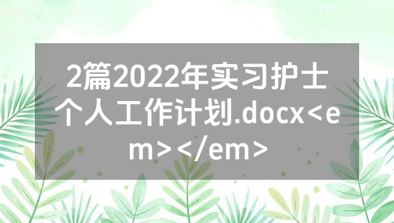 2篇2022年实习护士个人工作计划.docx<em></em>