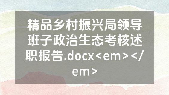 精品乡村振兴局领导班子政治生态考核述职报告.docx<em></em>