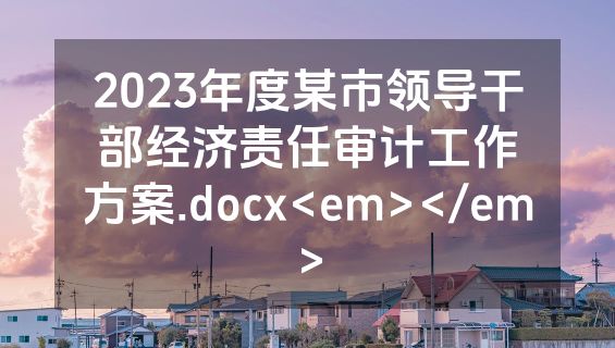 2023年度某市领导干部经济责任审计工作方案.docx<em></em>