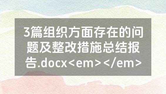 3篇组织方面存在的问题及整改措施总结报告.docx<em></em>