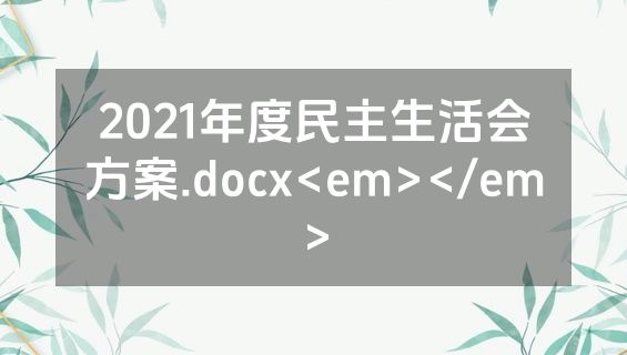 2021年度民主生活会方案.docx<em></em>