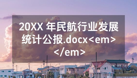 20XX 年民航行业发展统计公报.docx<em></em>