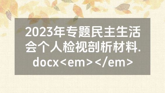 2023年专题民主生活会个人检视剖析材料.docx<em></em>