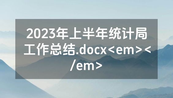 2023年上半年统计局工作总结.docx<em></em>