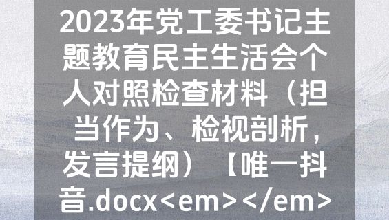 2023年党工委书记主题教育民主生活会个人对照检查材料（担当作为、检视剖析，发言提纲）【唯一抖音.docx<em></em>
