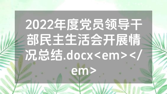 2022年度党员领导干部民主生活会开展情况总结.docx<em></em>