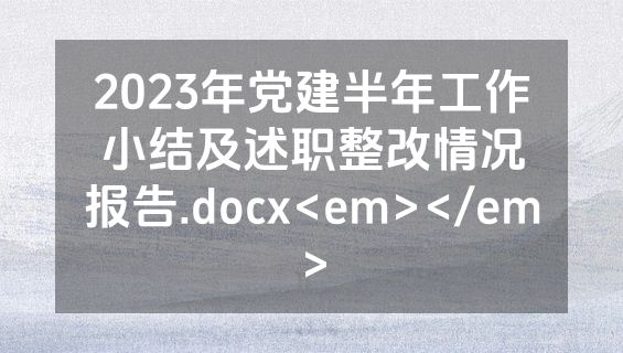 2023年党建半年工作小结及述职整改情况报告.docx<em></em>